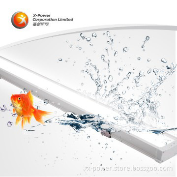 china led manufacturer 5ft waterproof led light for swimming pool